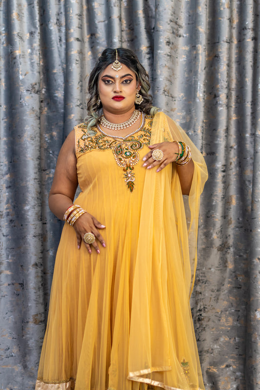 Beige Net Punjabi Set with Swarovski Stone Work