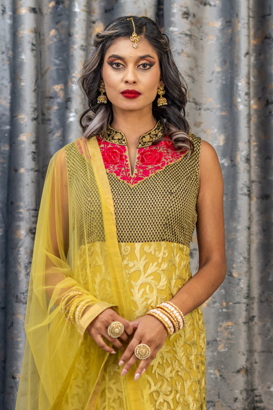 Ombre Black & Gold Net Embroidered Punjabi Set