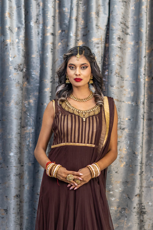 Brown Net Punjabi Set