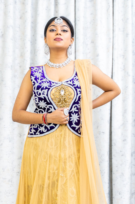 Gold Net Punjabi Set with Silver Swarovski Stone Work