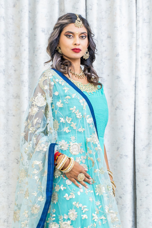 Blue Net Punjabi Set with Contrast Dupatta