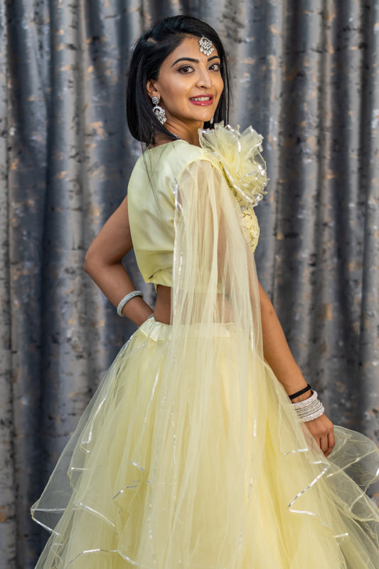 Off White Net Lehenga Set with Ablah Work