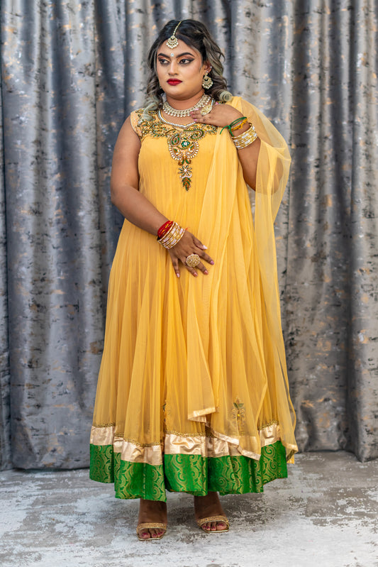 Beige Net Punjabi Set with Swarovski Stone Work