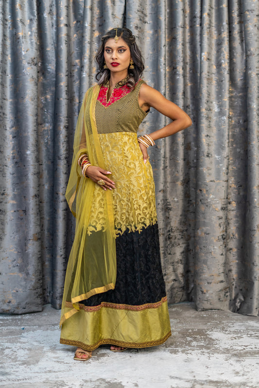 Ombre Black & Gold Net Embroidered Punjabi Set