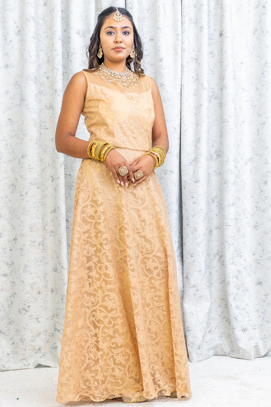 Creamy Gold Net Punjabi