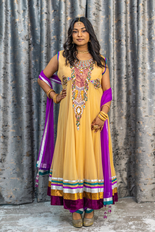 Multi Coloured Net Punjabi Set with Swarovski Stone Work