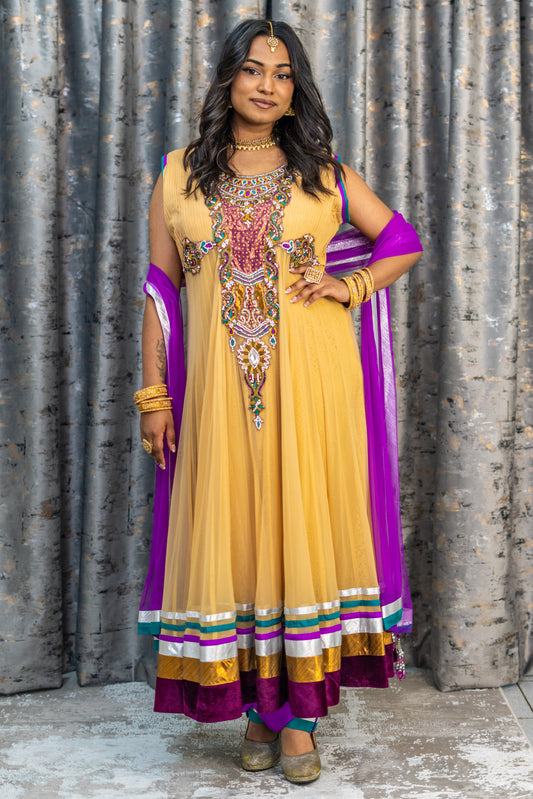 Multi Coloured Net Punjabi Set with Swarovski Stone Work