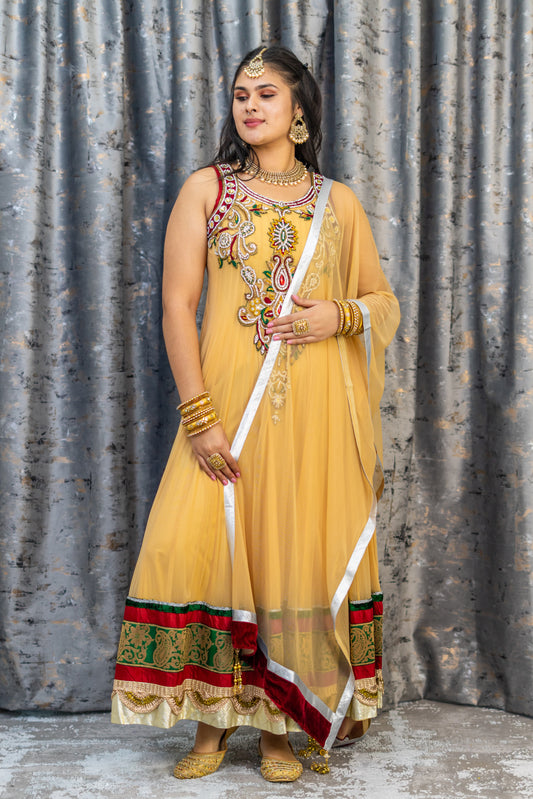 Beige Net Punjabi Set with Swarovski Stone Work